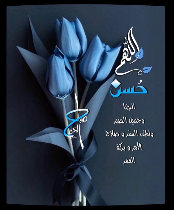 أصبحنا وأصبح الملك لله وحده لا شريك له 🤲💞💯❤️