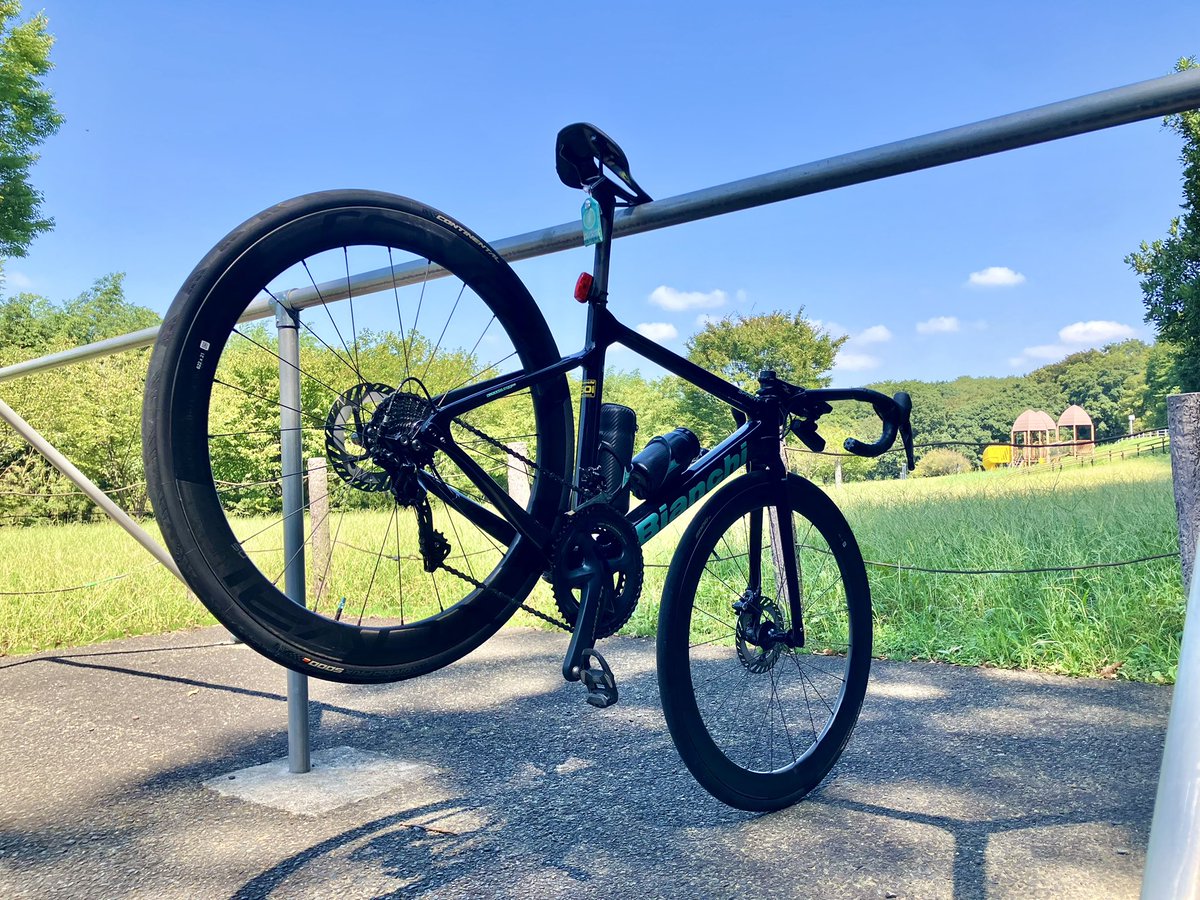 日差しは暑いけど風は気持ちいい