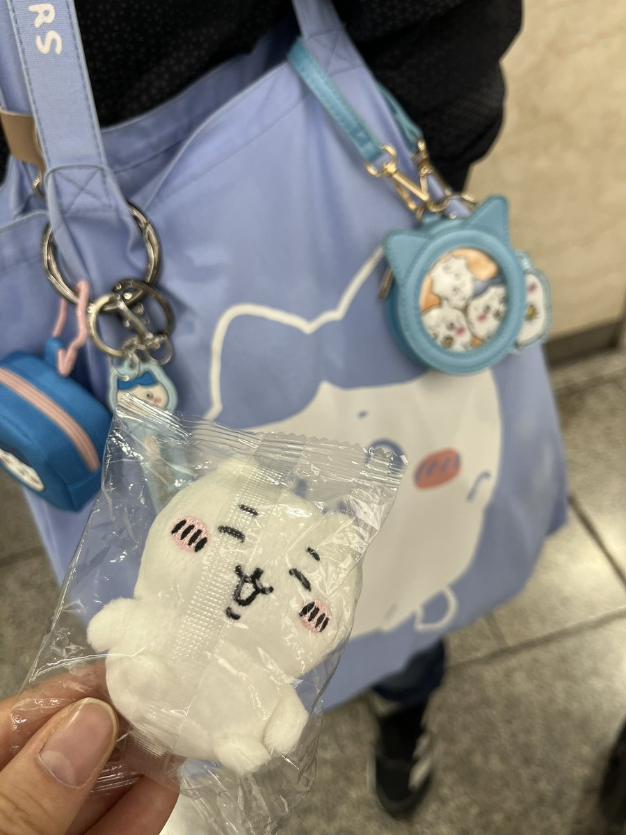 昨日はお久しぶりにハルナさんと会ったよー！安定の目印ハチだらけバッグ🩵ちいかわトークして翌日のちいベビチケット争奪戦への対策聞いたけど完敗しました…人気すぎる😢