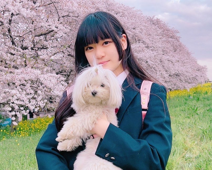 じゃすみんページ じゃすみん (@jasmine_himeda) / X