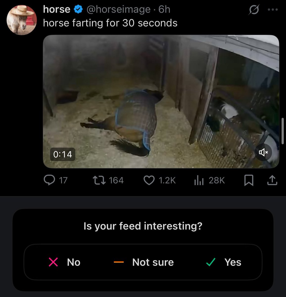 rexspIode's tweet image. dude