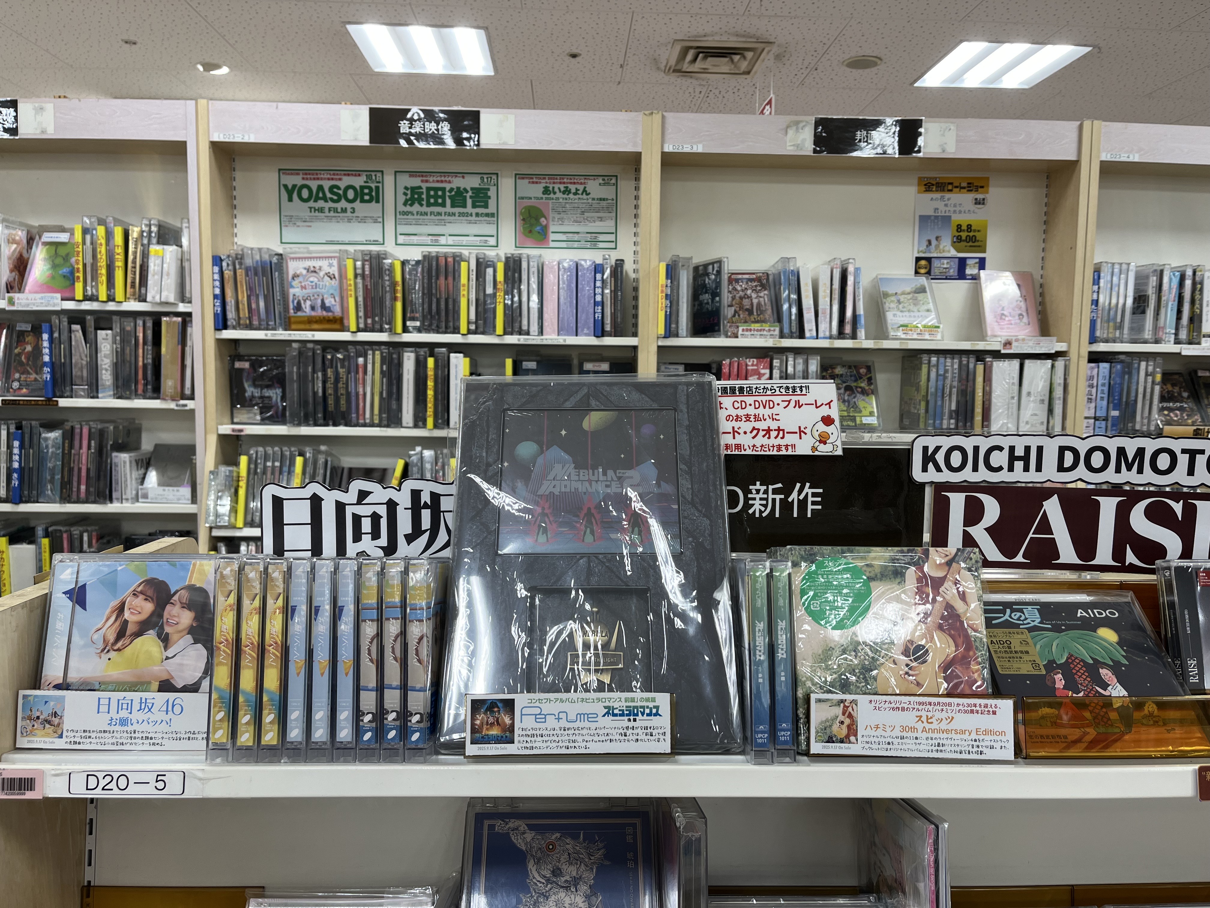 かもめの城('65仏/米) 廃盤DVD 紀伊國屋書店 かもめの城(かもめ城)』 ('65仏米) DVD かもめの城 (´65仏/米