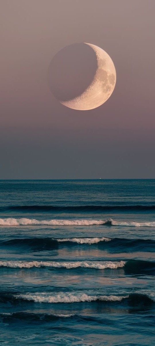 BluesignV's tweet image. Good night 💛🌹✨💫