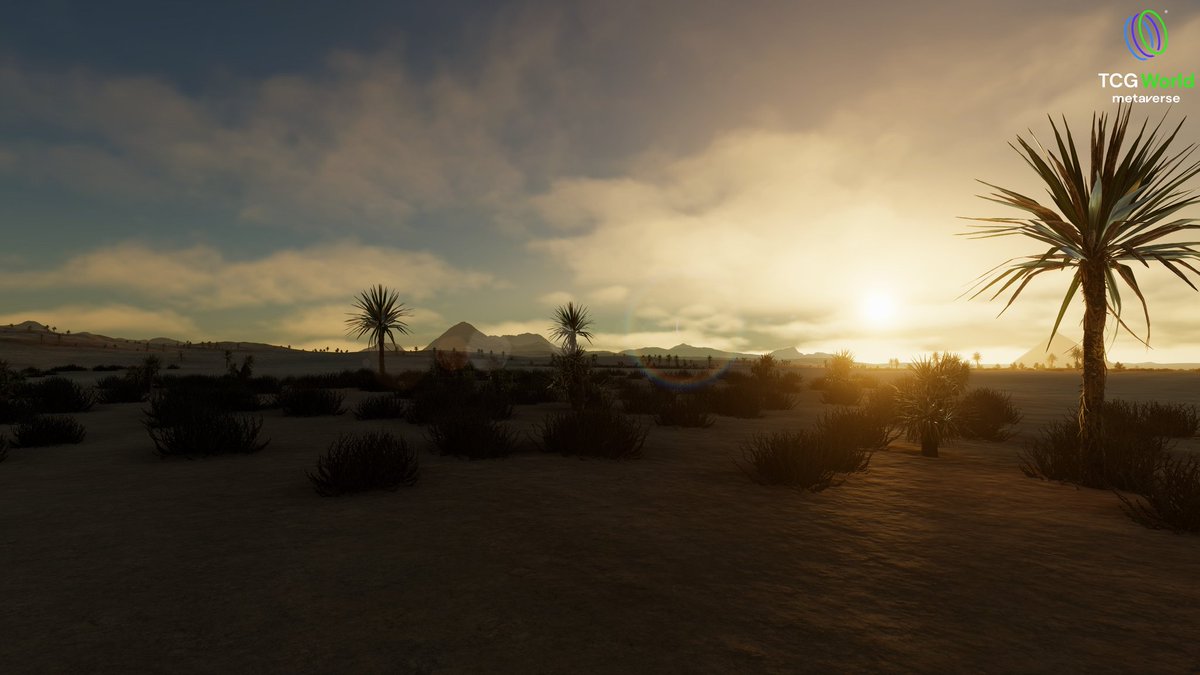 Calm has a place here too. 🌿

In TCG World it’s not always about action, sometimes it’s just about slowing down and taking in the beauty around you. 🌍✨

#TCGWorld #GamingCommunity