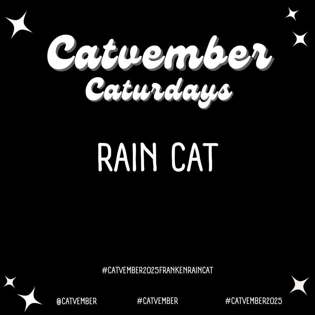 valioart's tweet photo. Catvember Caturdays
Week 38: RAIN CAT
@catvember ๐โโฌ
#catvember #catvembercaturdays #catvember2025 #catvemberraincat #artchallenge #catart #catdrawing #catillustration #drawingchallenge #ink #art #inkwork #blackandwhite #valioart https://t.co/FMi7pjQmV1
