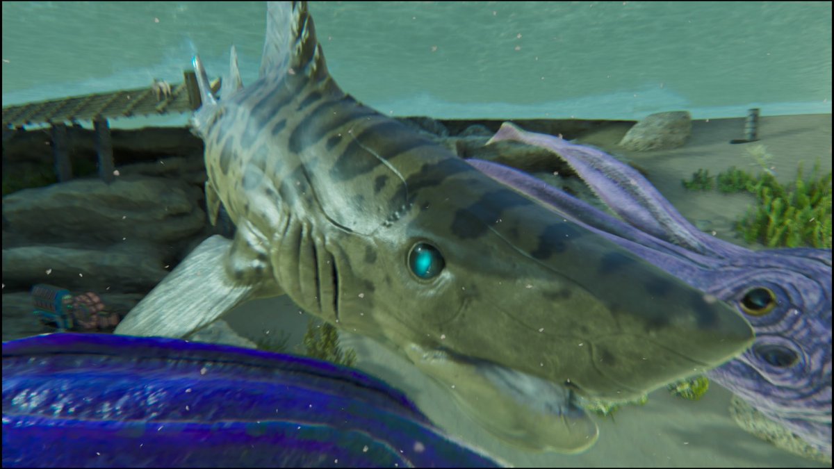 サクッとチャンネル tweet media