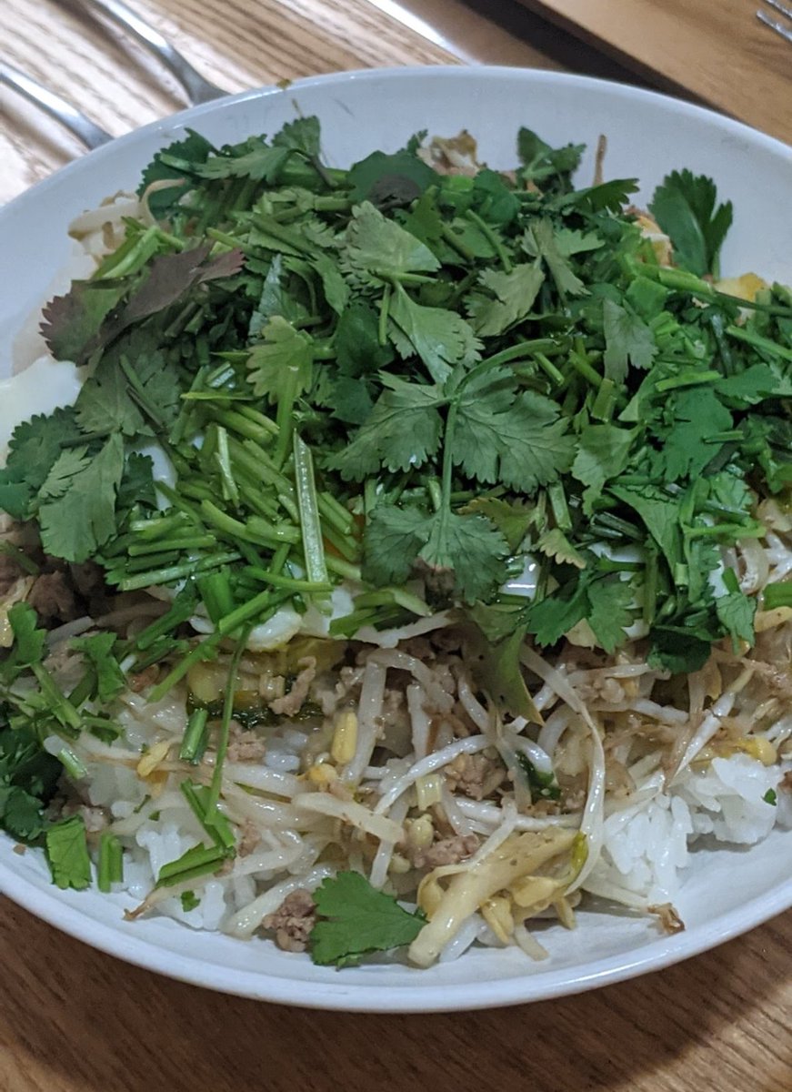 パクチー - Search / X