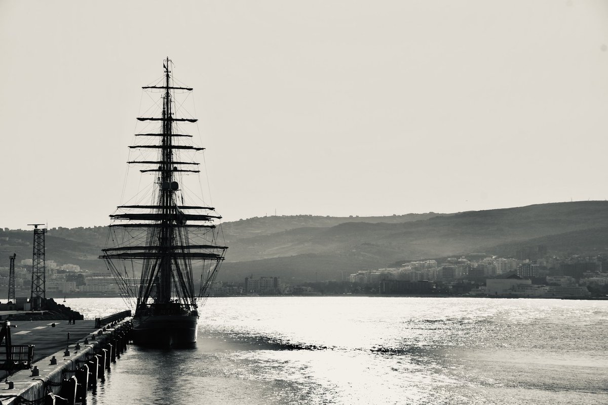 Amy Savage tweet media