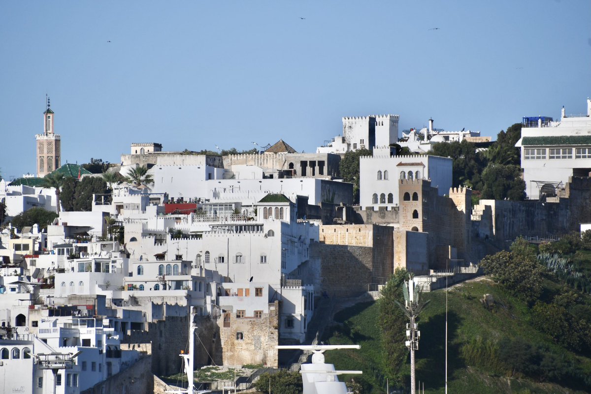 Amy Savage tweet media