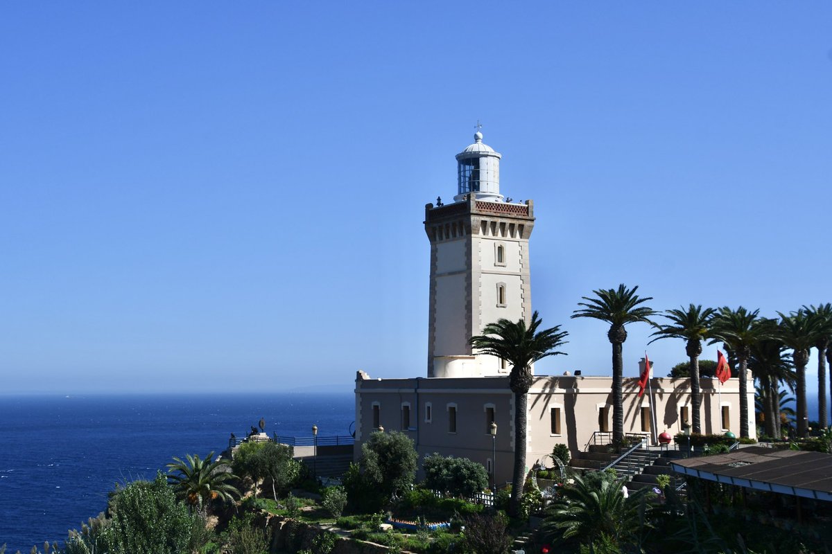 Amy Savage tweet media