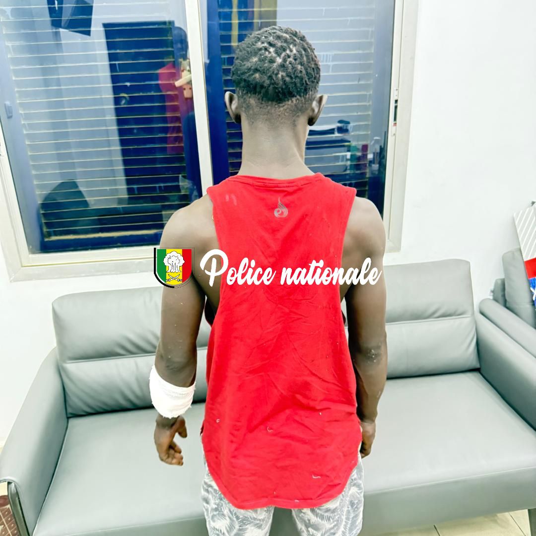 PoliceNationSN's tweet photo. Dieuppeul
Un jeune homme a été interpellé pour homicide involontaire après une bagarre à la Cité Baraque.
La victime, blessée à l’arme blanche, a succombé à ses blessures à l’hôpital.
Le suspect est en garde à vue.
📞 800 00 17 00 pour toute info.
#Dieuppeul #Senegal #Kebetu https://t.co/jMwYWQEiBB