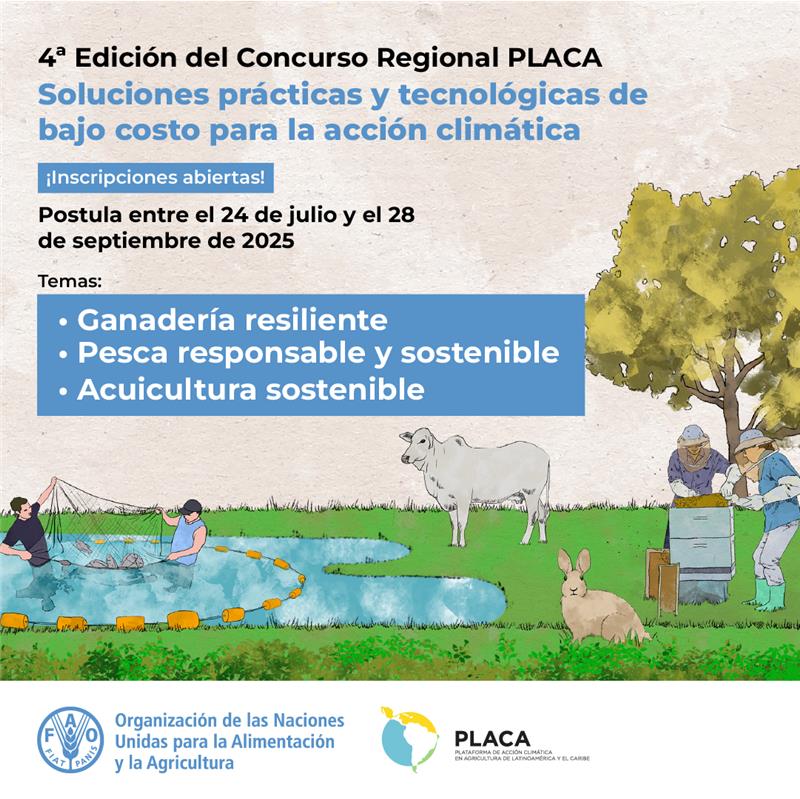 FAO HONDURAS tweet media