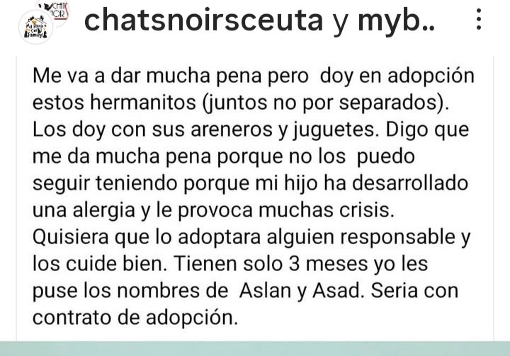 Marisa84157935's tweet image. #Aslam y #Asad devueltos #perreraceuta tras 3 meses adoptados😿😿💔
"Su hijo tiene alergia"
Se tienen el uno al otro,pero nada +
Se abrazan para no tener miedo,duermen y comen juntos,lloran juntos🥺
5 meses,esterilizados y vacunados
Pueden viajar
656479268
instagram.com/p/DOmKNgoDs5A/…