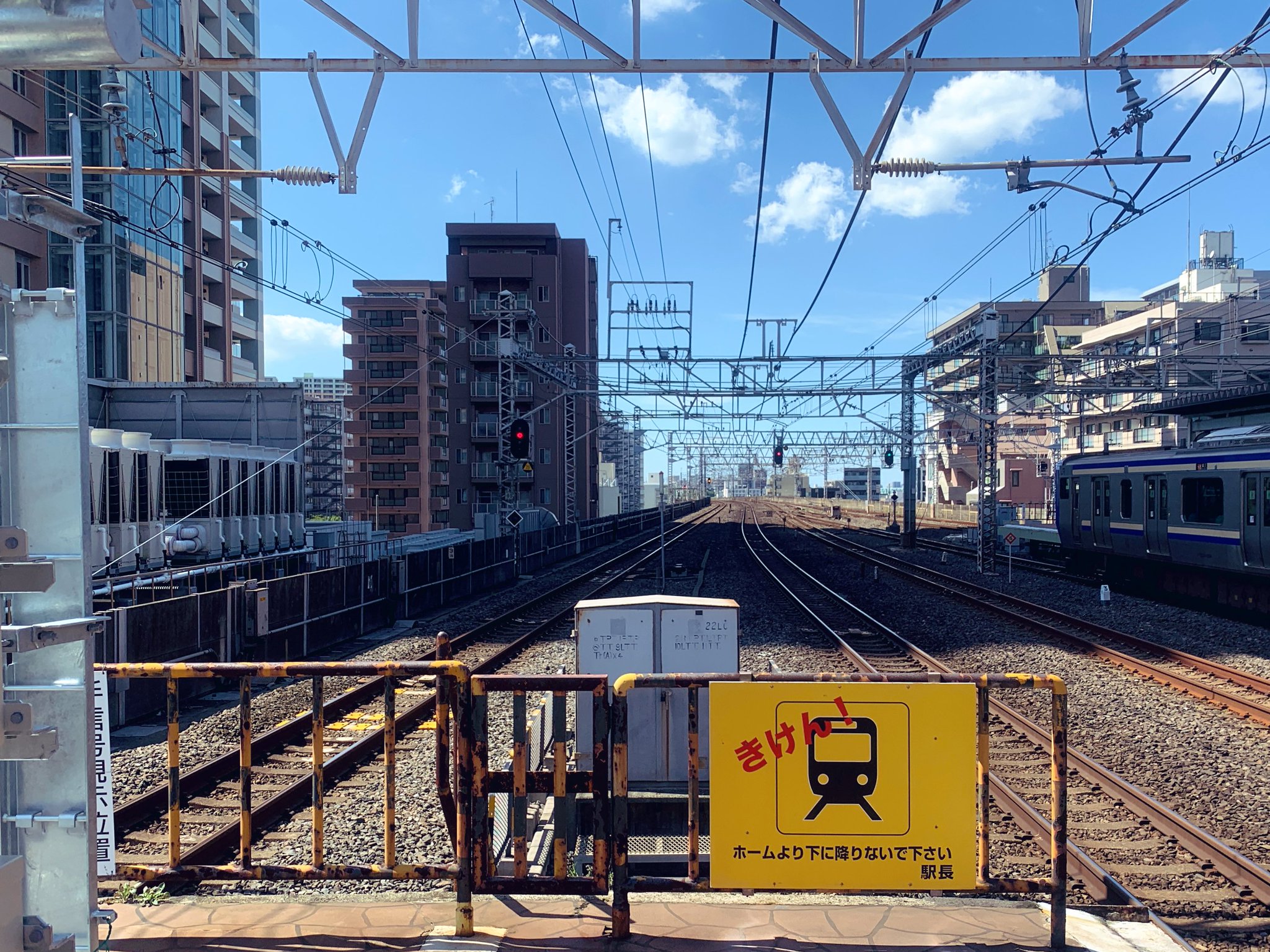 shiho ohashi（猫・風景画家） on X: 