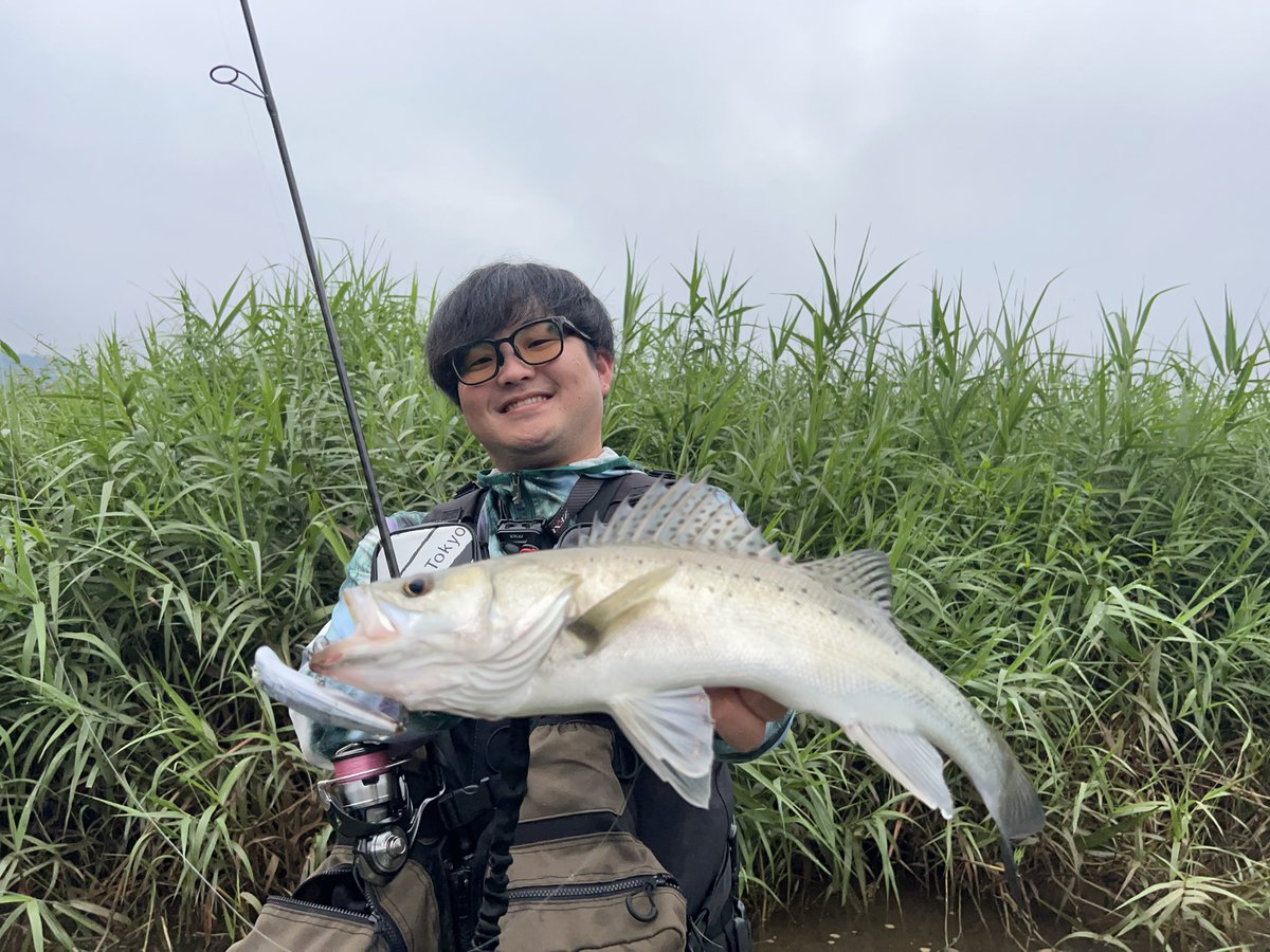 SeabassLinks's tweet photo. ガボッ☝️
綺麗なタイリクさん👏

#blueblue_fishing
#ガボッツ90 https://t.co/xpNUn84SYd