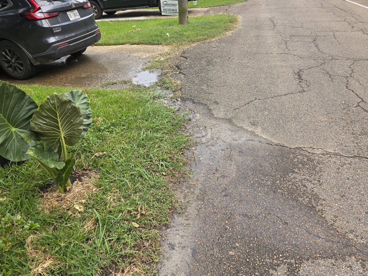 LyssiDee's tweet photo. @lynn_spruill @StarkUtilities there may be a water leak around 214 herbert street. One of my customers has constant water flowing into her driveway making it very slippery for her to walk on. Could we get a check on it please? https://t.co/slvVQfZddb