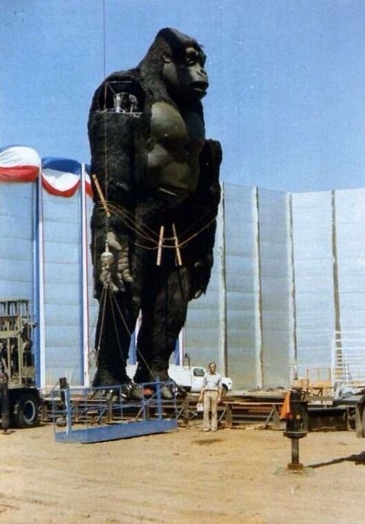 cat_mask87's tweet photo. @CapCalam @RickDaSquirrel_ Yes... that happened. Dino De Laurentis (the film's producer) made an animatronic Kong that cost him £1.7 million. In the end, it didn't work. 

And that's one of the reasons why there weren't any more animals on the island. https://t.co/YZAdCn83zo