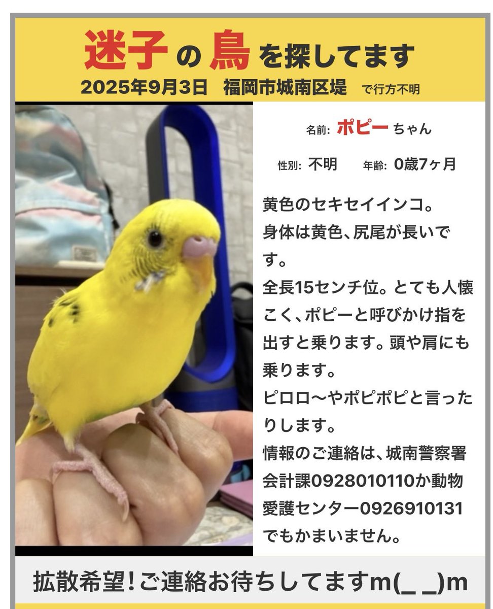torikymarbo's tweet photo. 再掲です🙇‍♂️飼い主さんが必死にポスティングしていますが情報がありません。
どうか拡散のご協力よろしくお願いいたします🙇
@hau57830 https://t.co/yJMHKJeGzY
