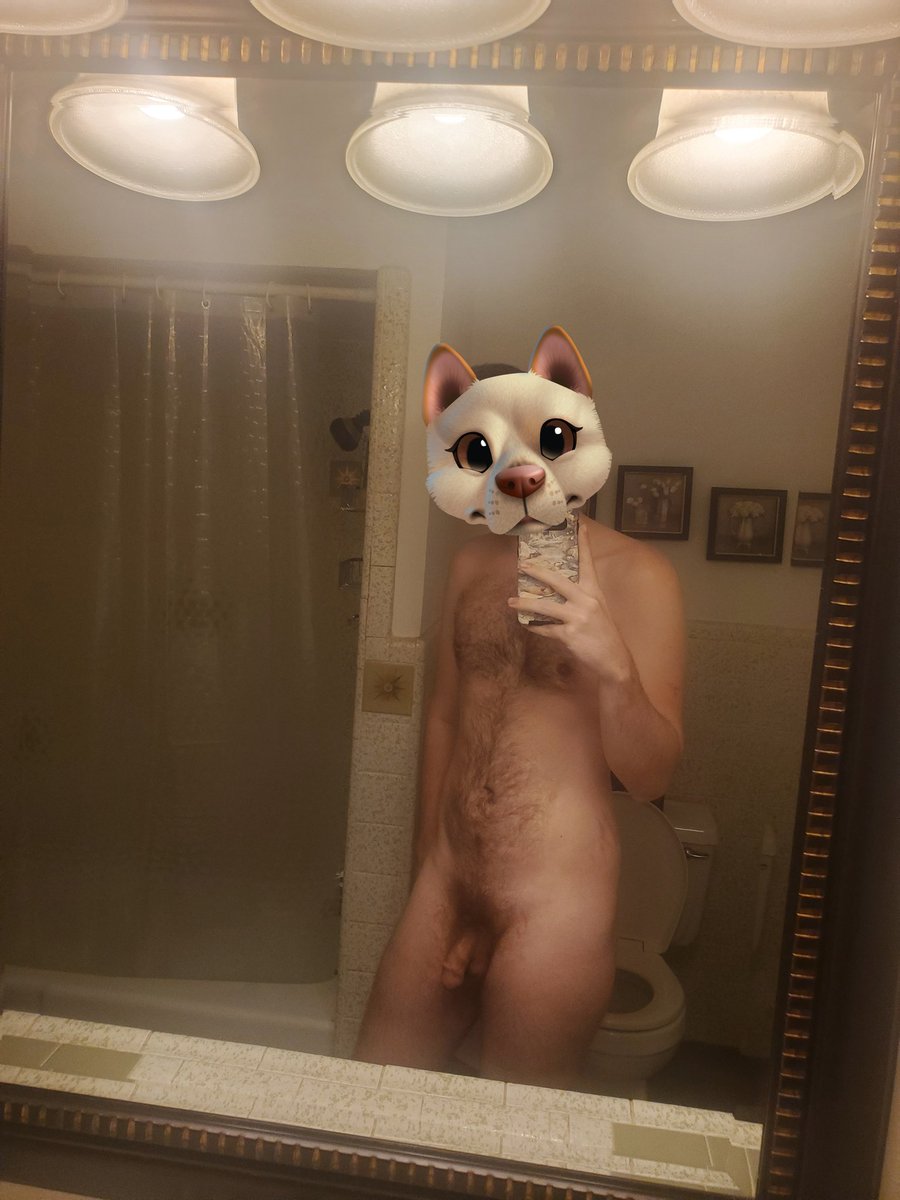 PupLane's tweet photo. A soff pic you you lewd animals https://t.co/qZK6G5HL9B