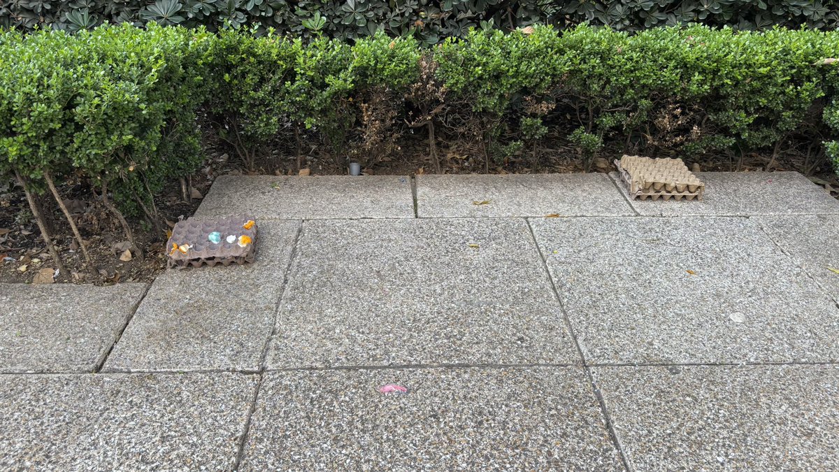 Angeles Romero tweet media