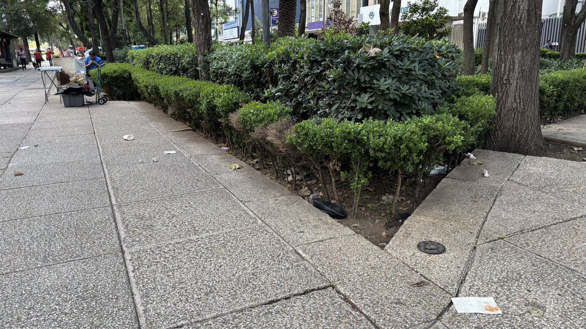 Angeles Romero tweet media