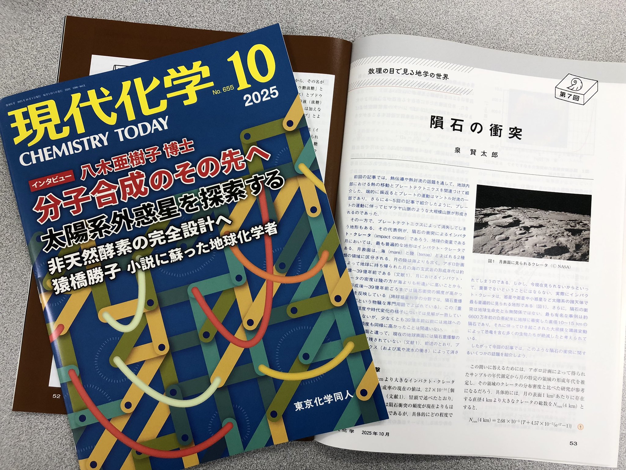 神々の糧 : 太古の知恵の木を求めて 植物とドラッグ、そして人間進化の歴史再考 神々の糧(ドラッグ) | テレンス マッケナ, McKenna,Terence