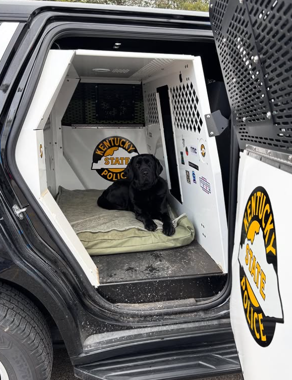 KY State Police tweet media