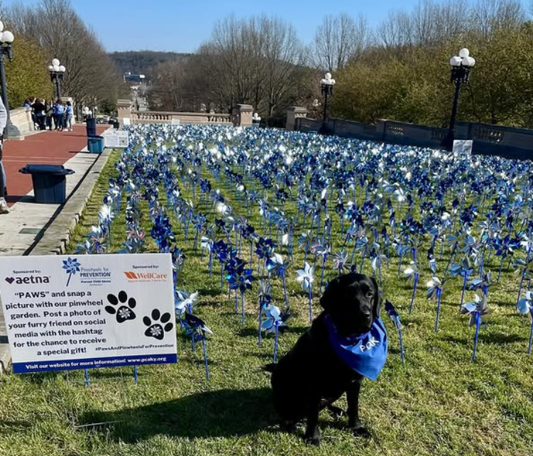 KY State Police tweet media