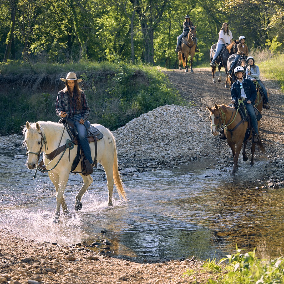 Our Little Indian Lunch Rides are back this fall!

Saddle up for a horseback ride through Little Indian Creek. Along the way, stop for lunch surrounded by natural beauty before heading back to the stables.

Book now: dogwoodcanyon.org/activity/littl…