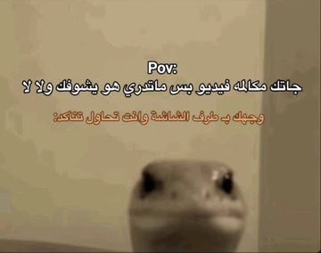 #اضحك #وناسه #فله #اكسبلور #ترند #الاول #m1