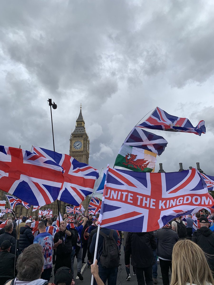 Kerri Walker 🐺🐶 tweet media