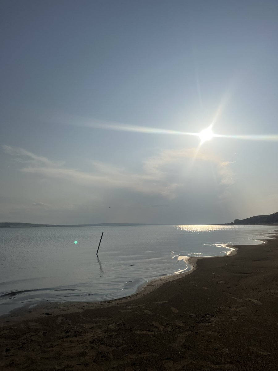 Gustavo Rodriguez, CGCS tweet media