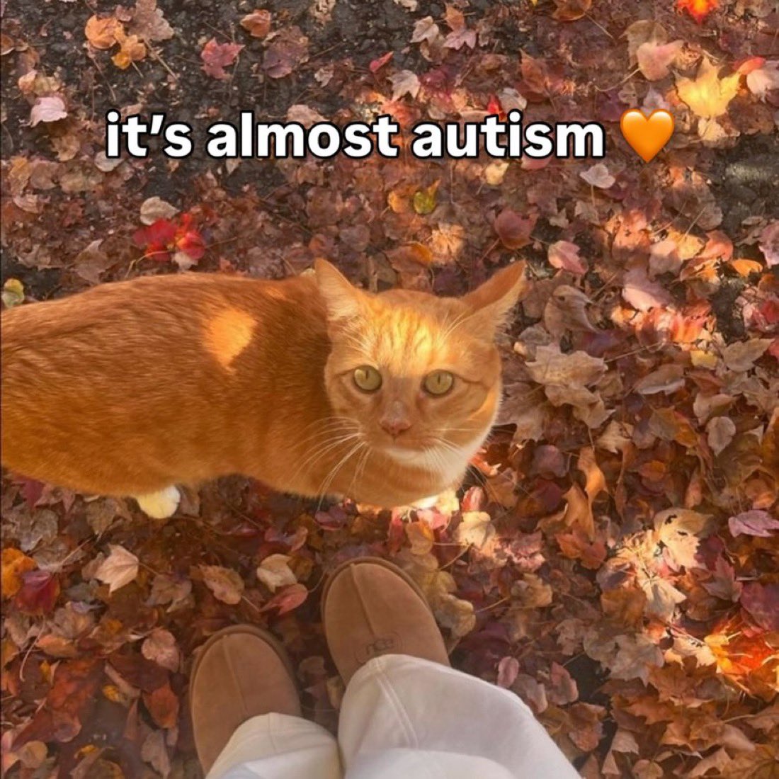 J.P. Picard (@jack_p_p_hoff) on Twitter photo 