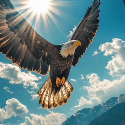 bra_bronze's tweet photo. #NewProfilePic https://t.co/5sMHoN10FJ