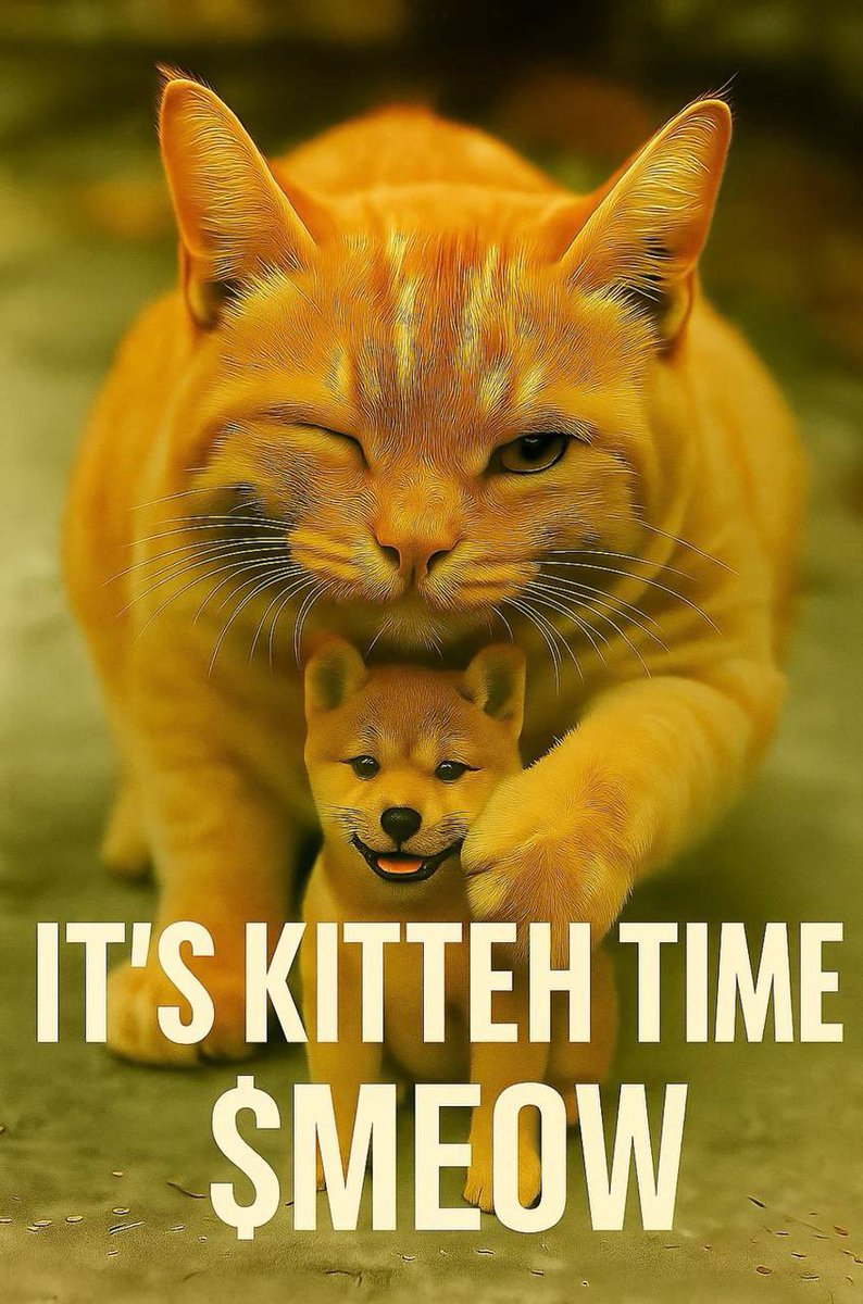 DjRaccoonHead's tweet image. #CCMS (Cute CAT Meat Season) is just around the corner purrrFect for 2025 
#CatFlipDog #KittehCoin
$MEOW @KittehCoinCTO 
@MichaelSuppo #1000xGem