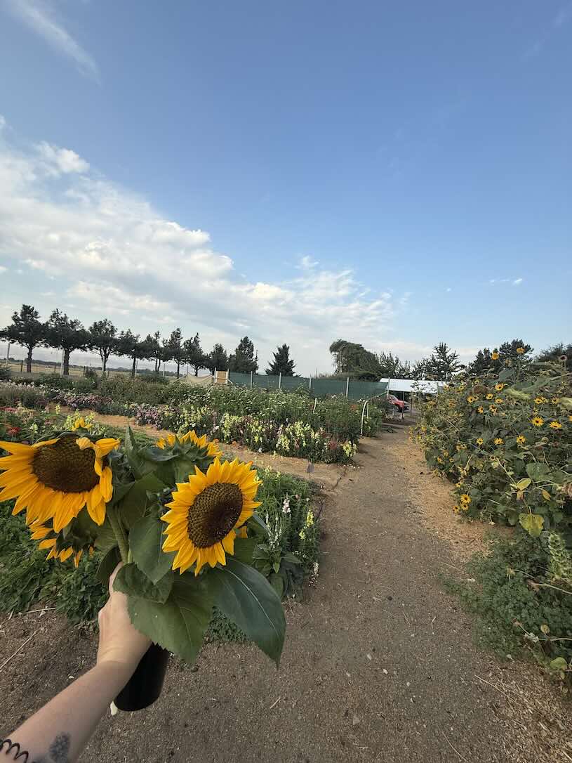 Serenity -  chimpsnw.org/2025/09/sereni…