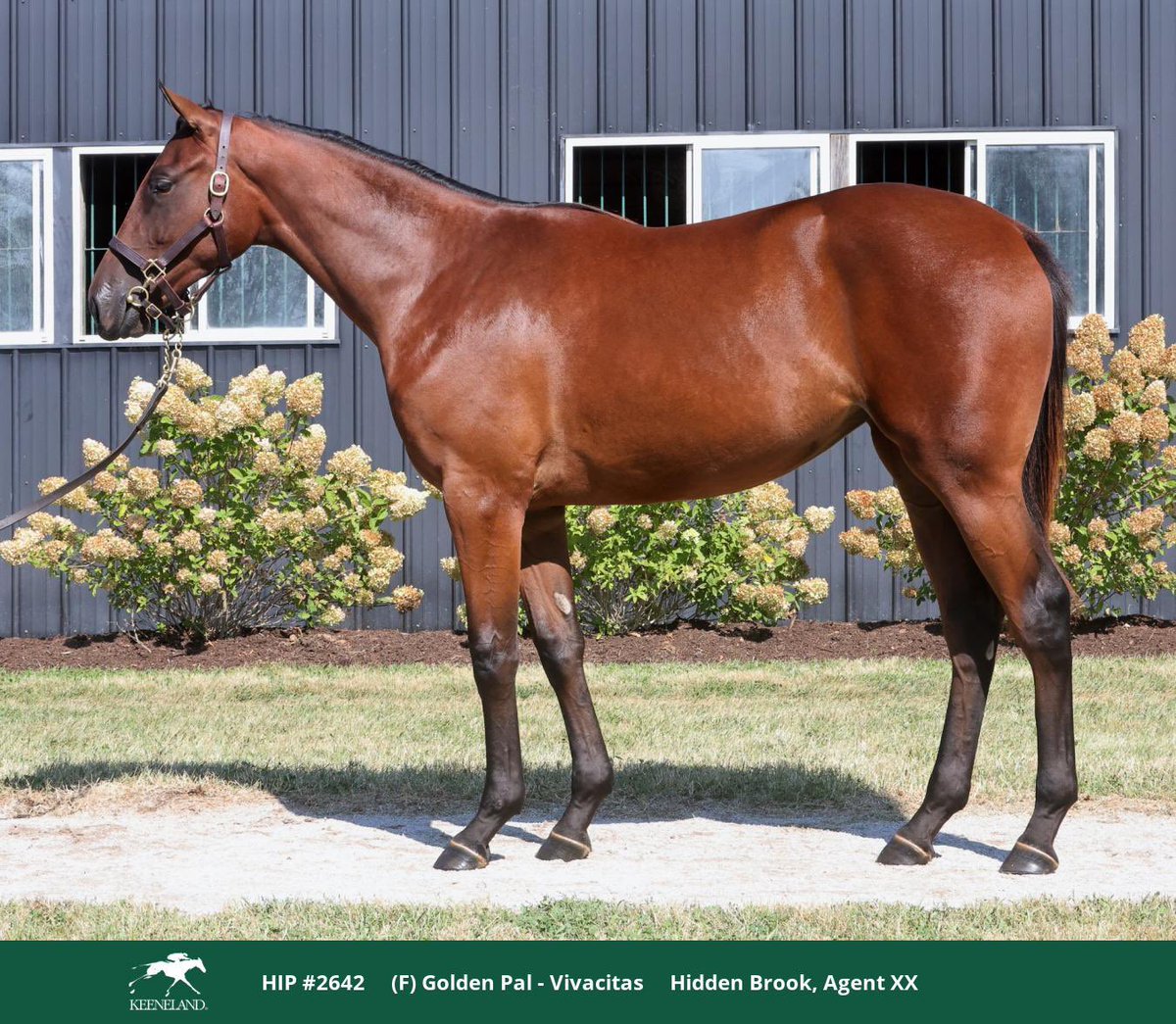 McMahon and Hill tweet media