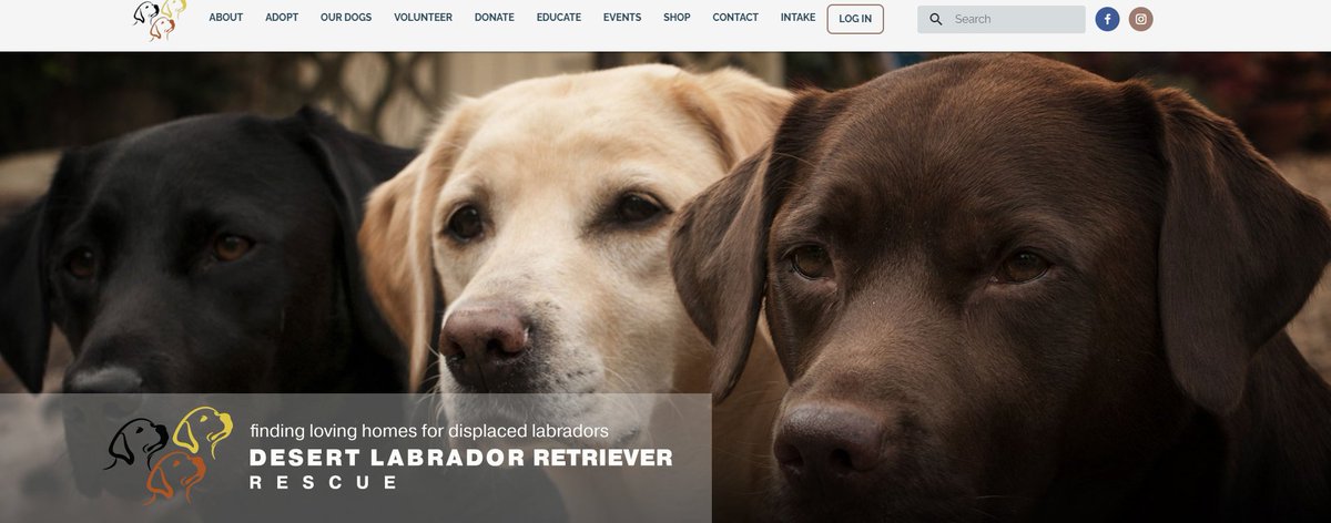 Retired Trader 🇺🇸 tweet media