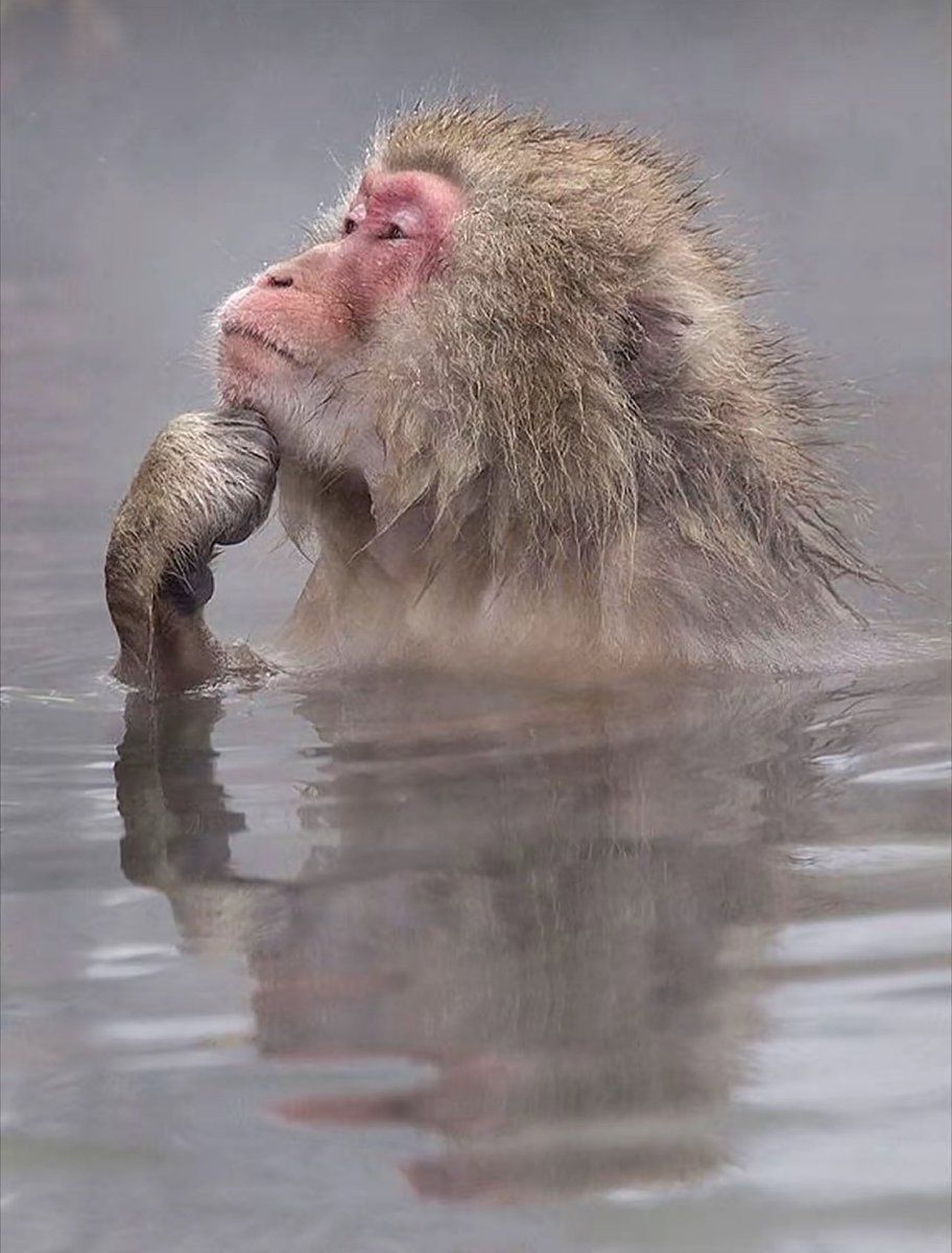 hmmm today I will ... um