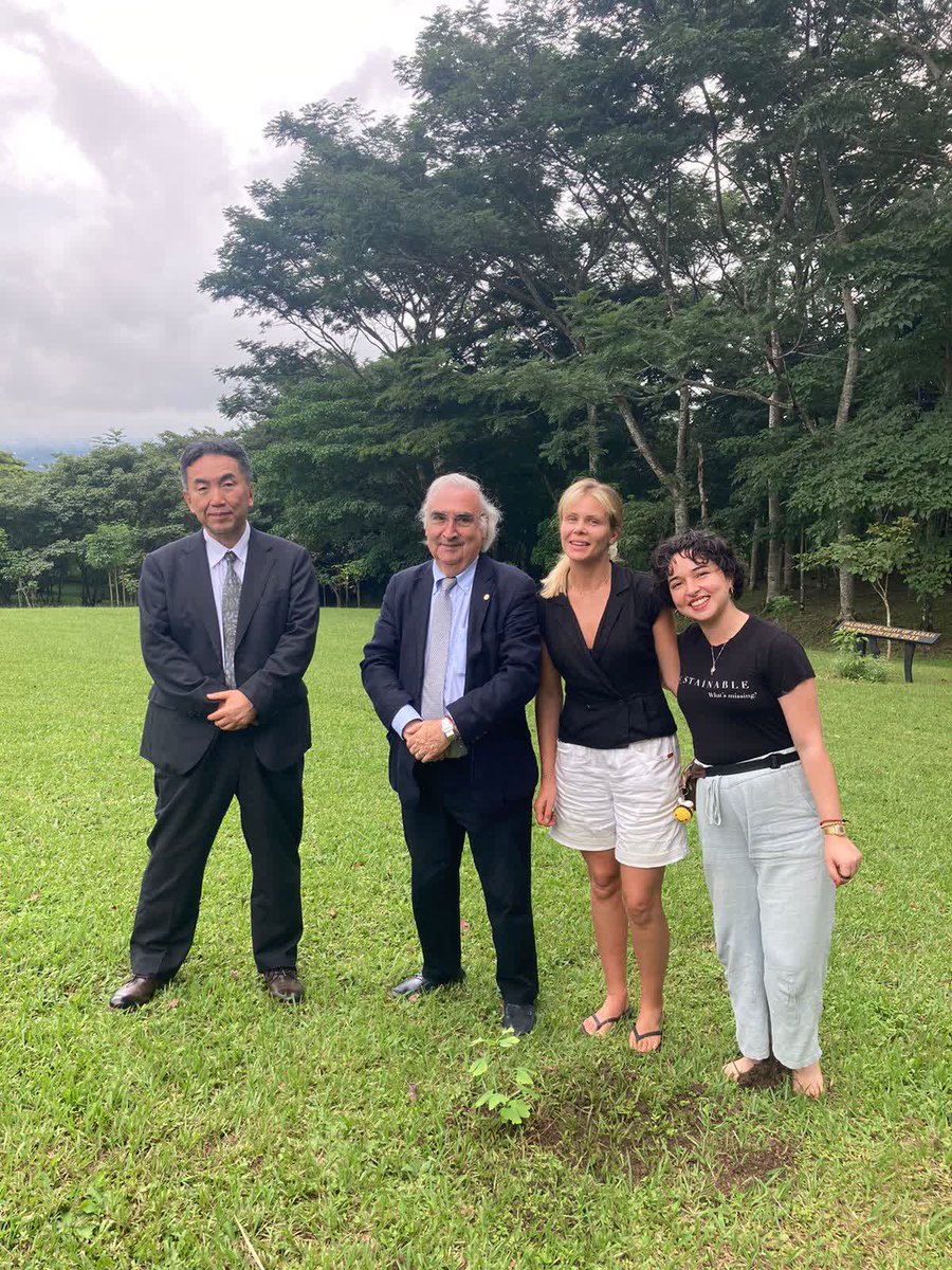 UPEACE's tweet photo. 🌳 En UPAZ plantamos un Ginkgo biloba sobreviviente de Hiroshima en nuestro campus principal en Costa Rica, junto al Green Legacy Hiroshima Initiative y la @universidaducr.

Un símbolo vivo de resiliencia, esperanza y paz que inspirará a toda nuestra comunidad. ✨

#UPAZ #UPEACE #Peace #GreenLegacyHiroshima