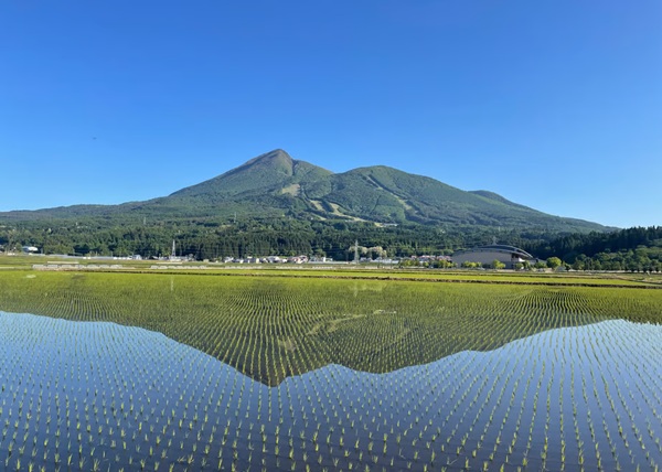 おはぷりん🍮
今日の大阪は晴れ☀ そういえば先週金曜日、帰宅まで雨が降らずに洗濯物無事だったんです😃 ラッキーだったプリン1号♪今日も1日宜しくお願い致します🥰
#企業公式が毎朝地元の天気を言い合う
#ゆうだい21 今年も猛暑日はなかったとのこと！新米が楽しみ😍tokimeku-otoriyose.jp/rice/yudai21-5/