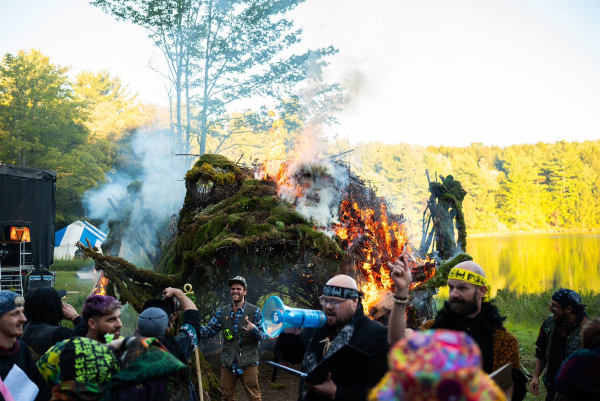 Frog Mirror 🐸 🪞 tweet media