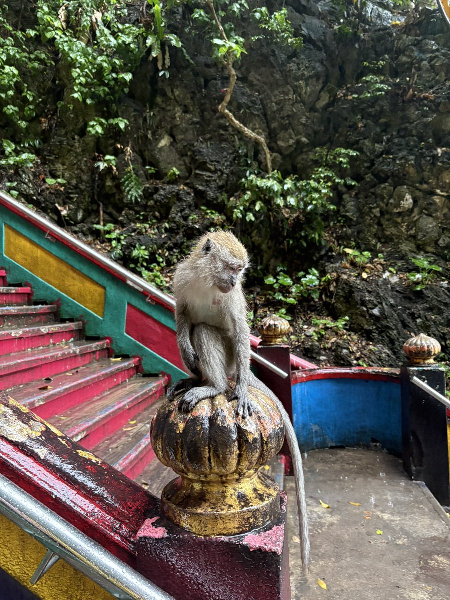 landon (@landonboyd93) on Twitter photo 