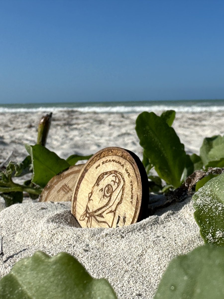 Frog Mirror 🐸 🪞 tweet media