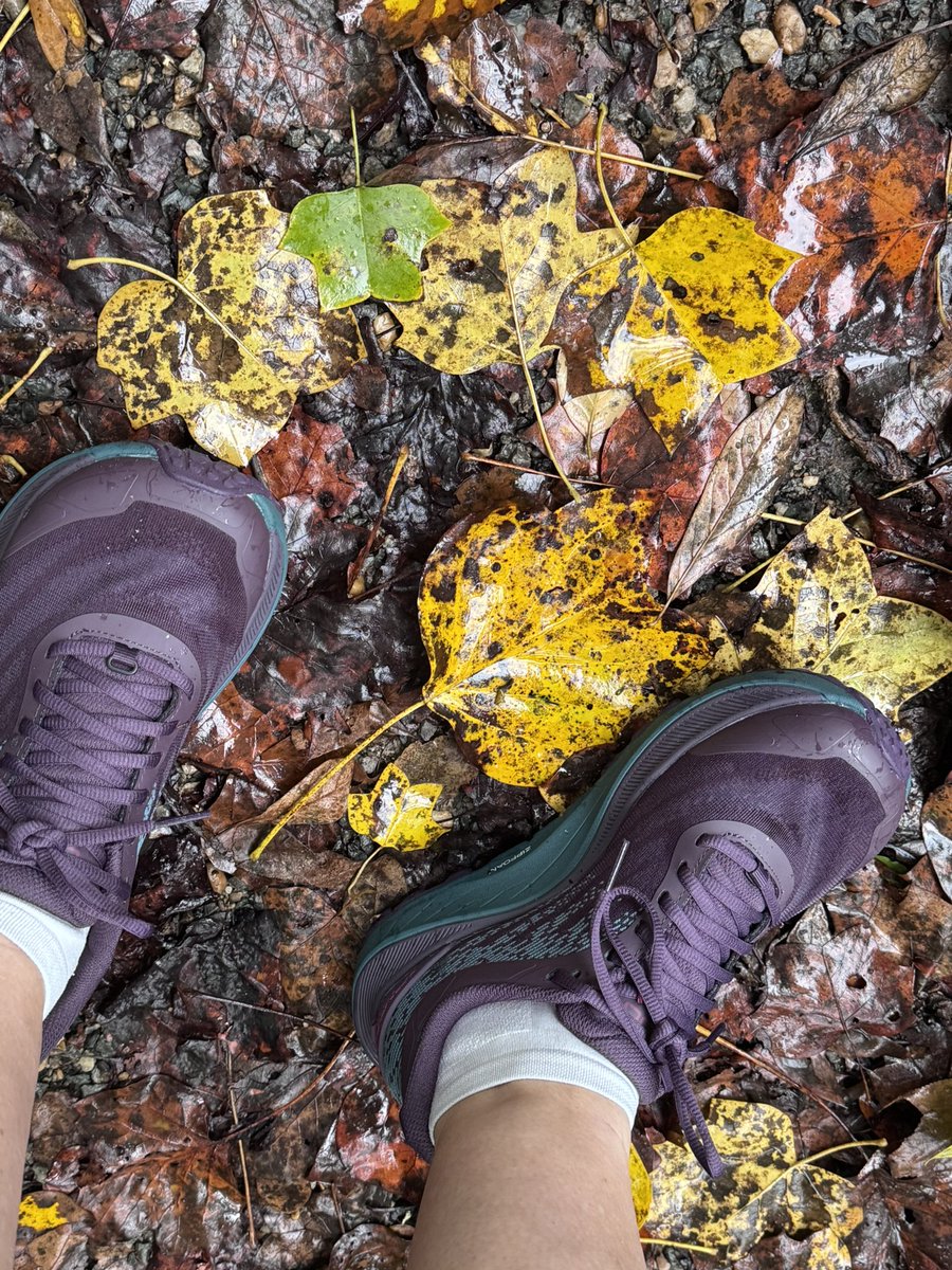 TheOtherLori's tweet photo. 3 soaking wet trail miles testing out some new trail shoes by @topoathletic. Have always worn another brand & thought I’d try something new. I was pleasantly surprised. #runchat #trailfun https://t.co/8UCvdBEdRw