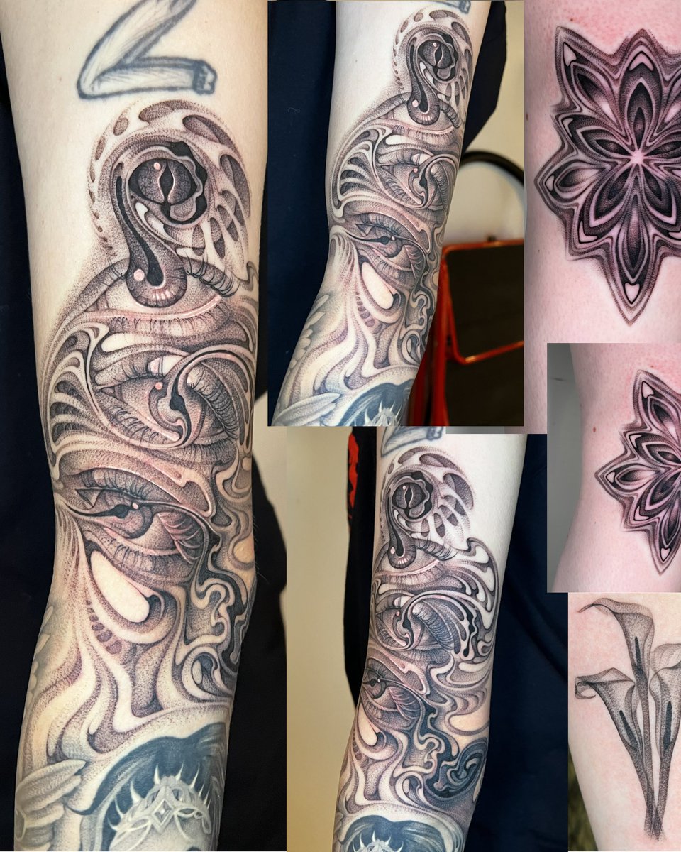 ✧ 𝖈𝖞𝖓𝖓𝖊𝖗 ✧ tweet media