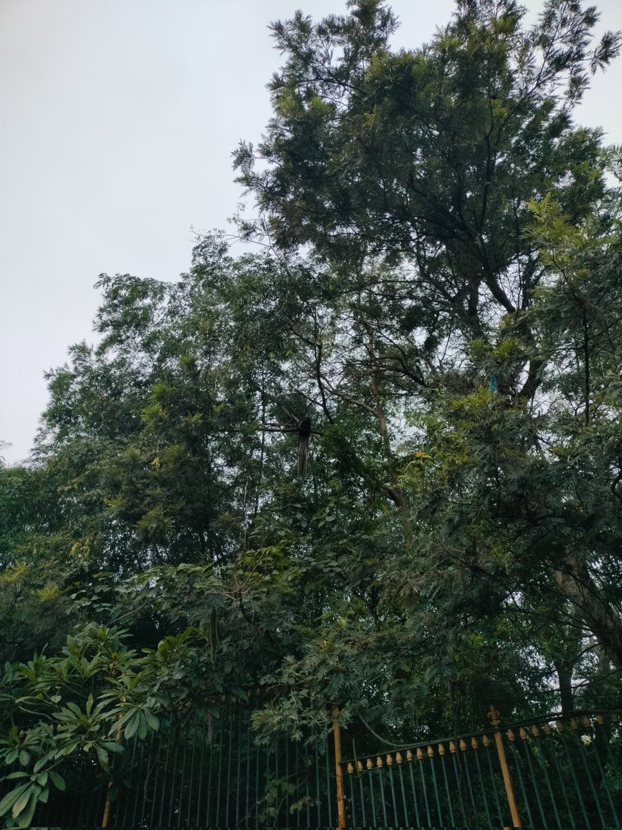 Find out what is there!!!😍