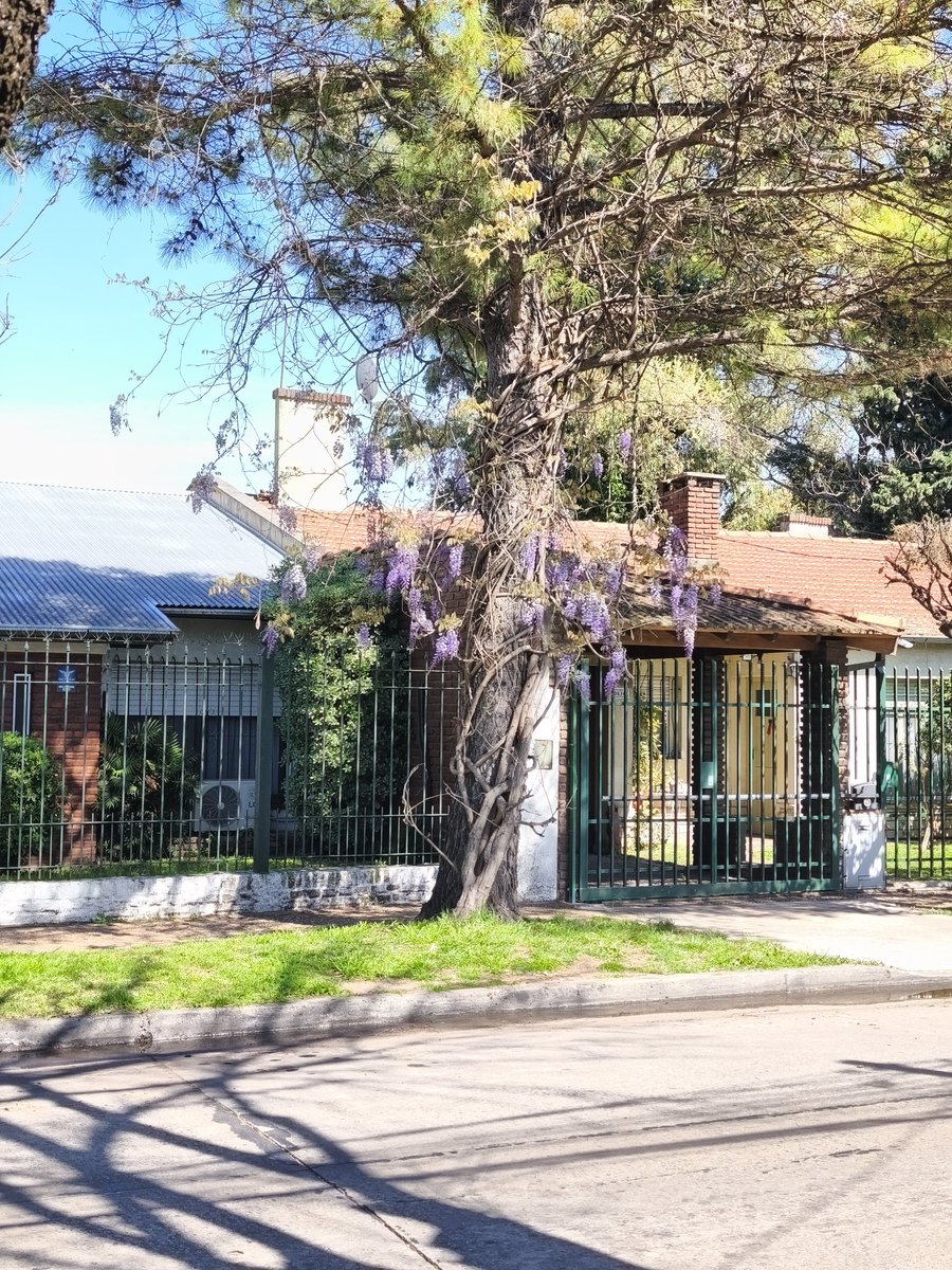 Primavera en el Conurbano 😘