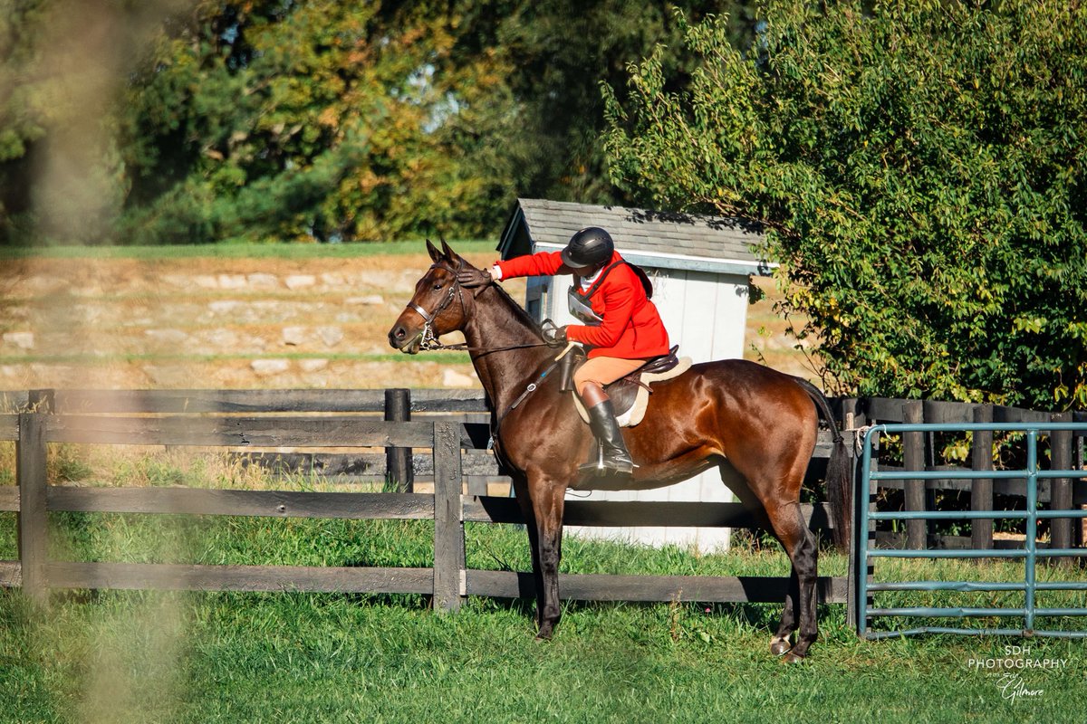 Cheers, man! TOM MANSMANN is back at Fair Hill again on October 18!  "He is a generational OTTB rider and trainer, and grew up competing them in many disciplines, including exercising steeplechase horses."

therealridercup.com/competitor/tma…

 #JumpOn! 🏇🏆