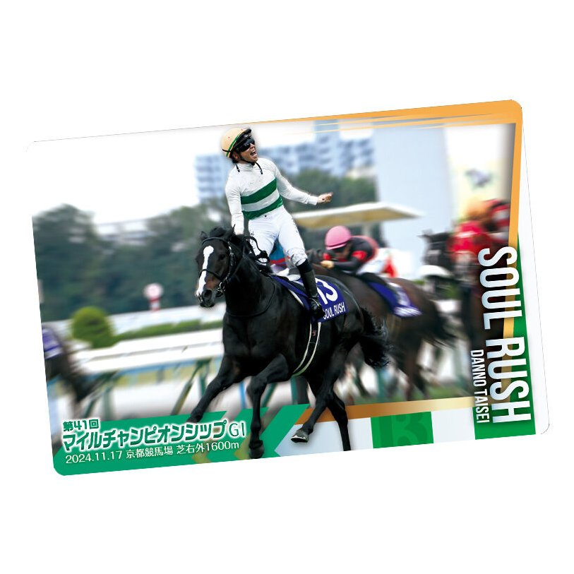 駿河屋で予約受付中！20.0%OFF

【BOX】サラブレッドホースコレクション ツインウエハース 第3R

j-hobby.net/sgy/1411759.ht…